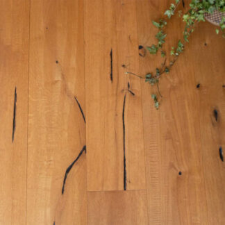 Berkeley-Cathedral-Oak-2-1-600x406