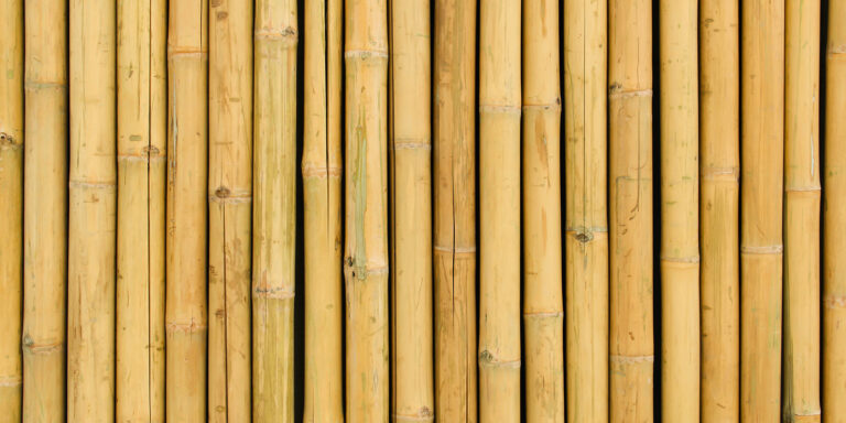 bamboo flooring cane