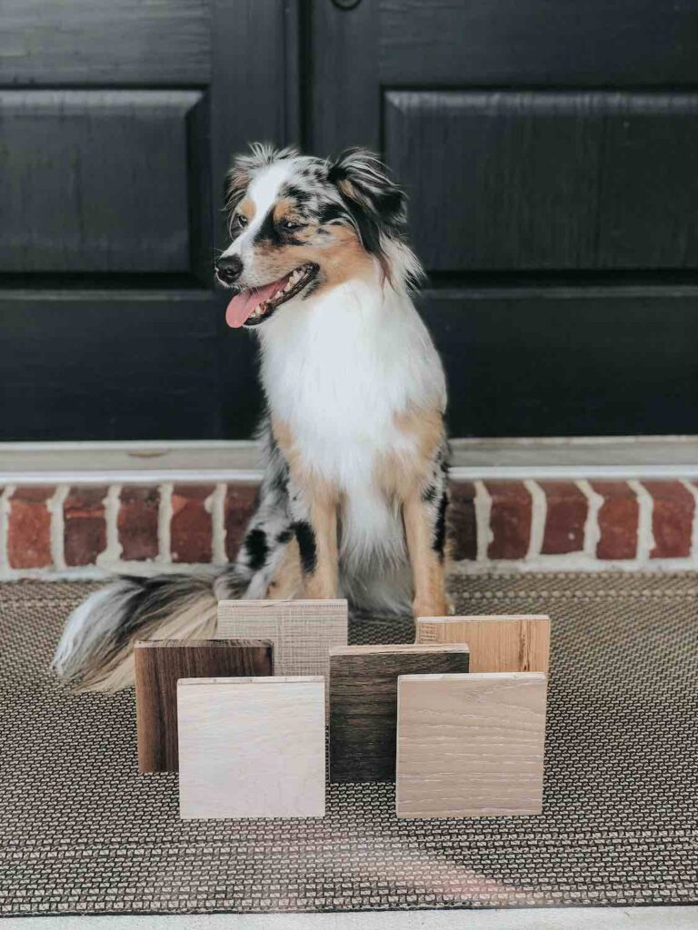 dog with wood samples