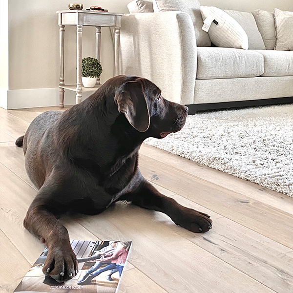 Hand scraped Engineered wood flooring in a livingroom and a dog
